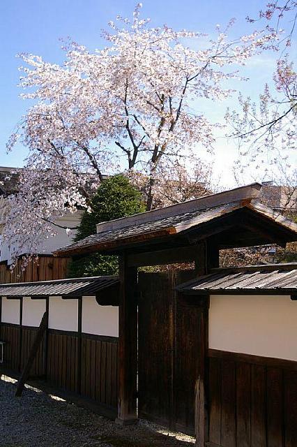 色調重現-櫻花屋前.JPG