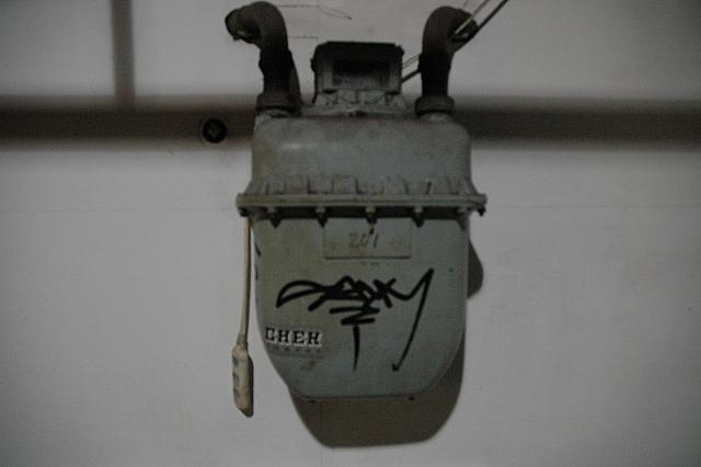 DSC_6978.JPG