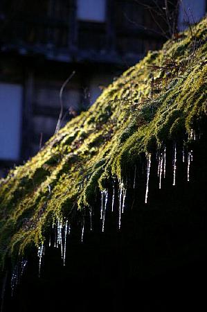 色調重現-青苔前.JPG